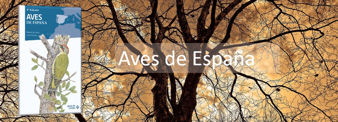 Aves de Esñapa