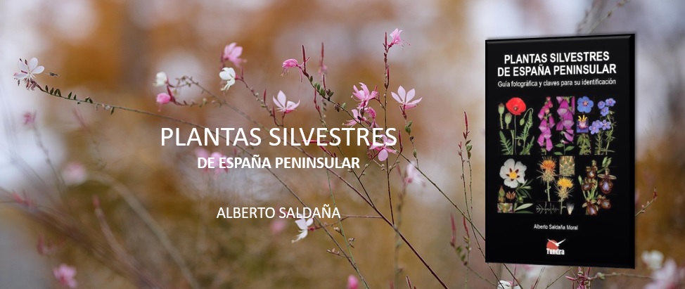 PLANTAS SILVESTRES DE ESPAÑA PENINSULAR 