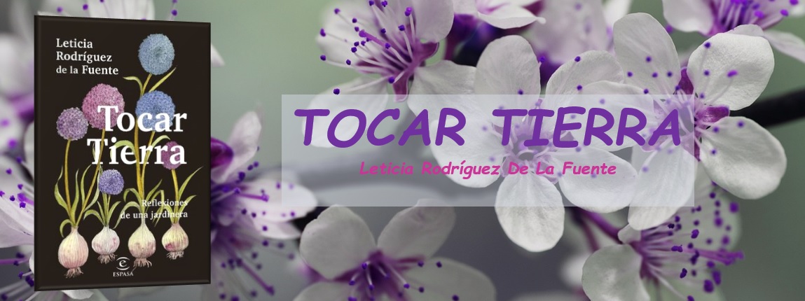 TOCAR TIERRA