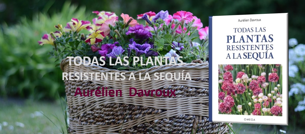 TODAS LAS PLANTAS RESISTENTES A LA SEQUÍA