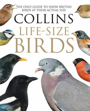 COLLINS LIFE-SIZE BIRDS *