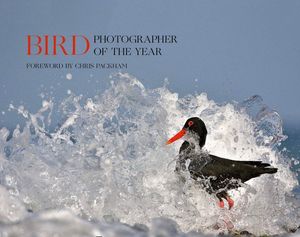 BIRD PHOTOGRAPHER OF THE YEAR: *