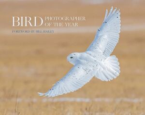 BIRD PHOTOGRAPHER OF THE YEAR: COLLECTION 6 *