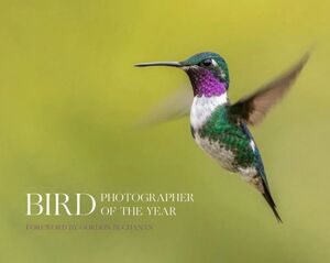 BIRD PHOTOGRAPHER OF THE YEAR. COLLECTION 8 *