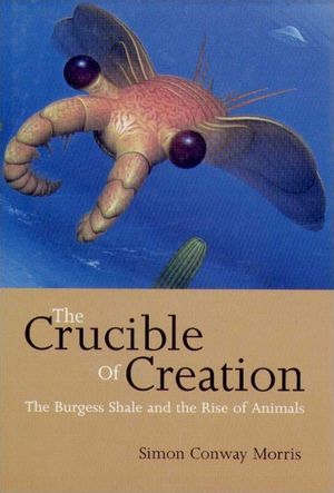 THE CRUCIBLE OF CREATION *