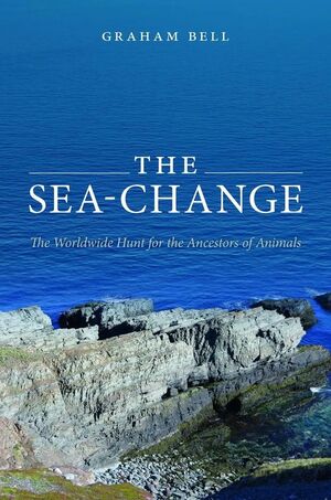 THE SEA-CHANGE