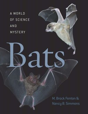 BATS *