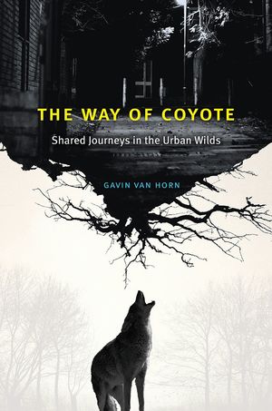 THE WAY OF COYOTE *