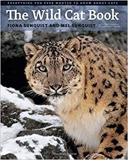 THE WILD CAT BOOK *