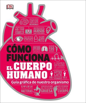 COMO FUNCIONA EL CUERPO HUMANO *