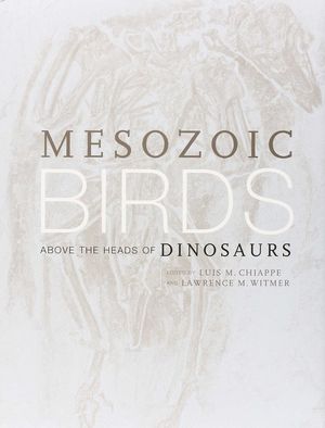 MESOZOIC BIRDS *