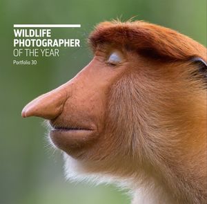 WILDLIFE PHOTOGRAPHER OF THE YEAR *