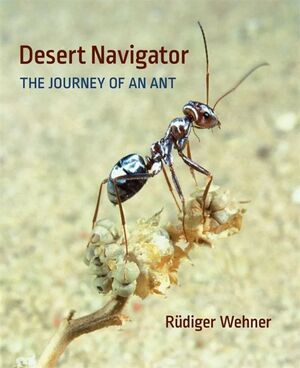 DESERT NAVIGATOR *