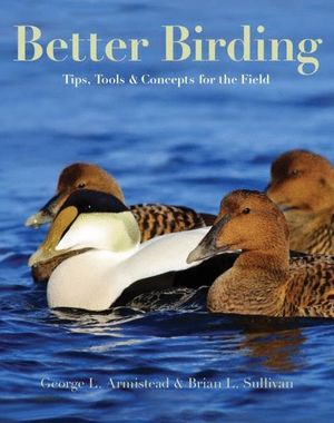 BETTER BIRDINGBETTER BIRDING *