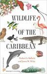 WILDLIFE OF THE CARIBBEAN