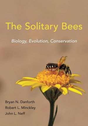 THE SOLITARY BEES *