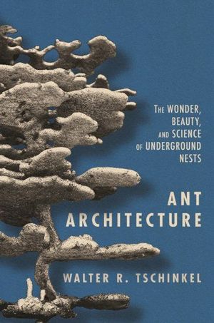 ANT ARCHITECTURE *