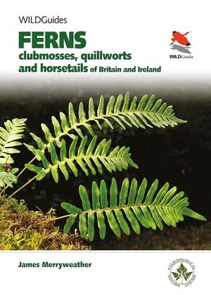 BRITAIN'S FERNS  *