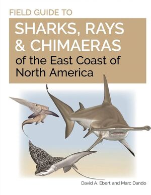 FIELD GUIDE TO SHARKS, RAYS & CHIMAERAS OF THE EAST COAST OF NORTH AMERICA *