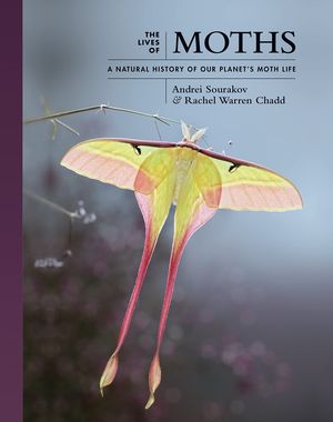 THE LIVES OF MOTHS: *
