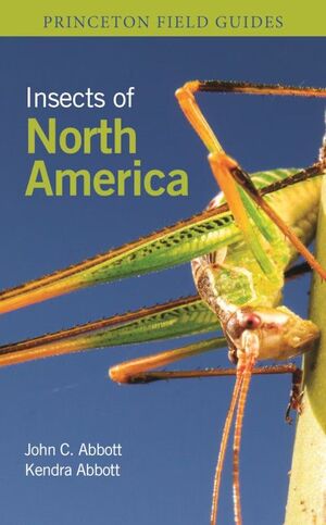 INSECTS OF NORTH AMERICA *