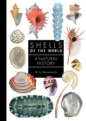 SHELLS OF THE WORLD *