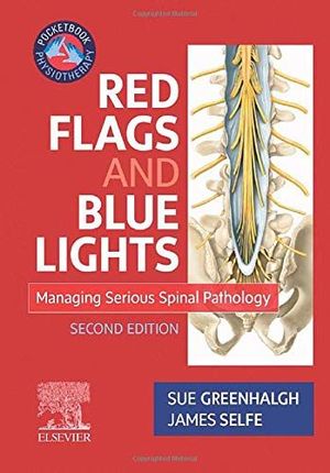 RED FLAGS AND BLUE LIGHTS: *