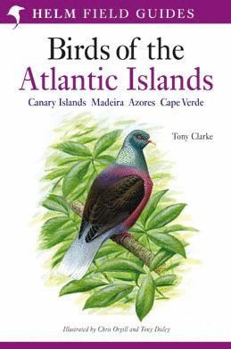 FIELD GUIDE TO THE BIRDS OF THE ATLANTIC ISLANDS *