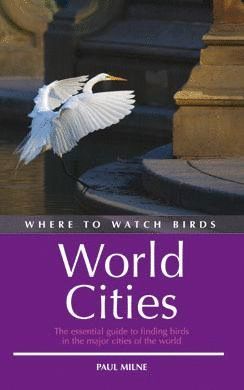 WHERE TO WATCH BIRDS IN WORLD CITIES *