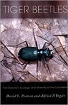 TIGER BEETLES *