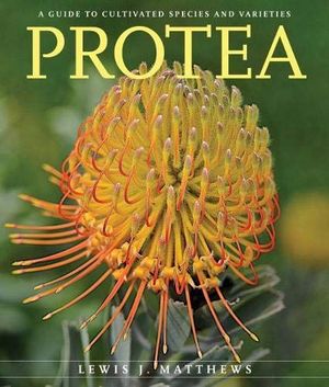 PROTEA *