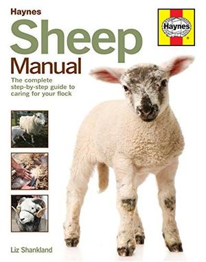 SHEEP MANUAL:  *