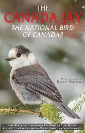 THE CANADA JAY  *