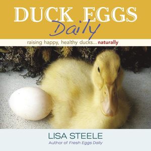 DUCK EGGS DAILY: *