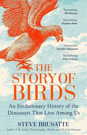 THE STORY OF BIRDS *
