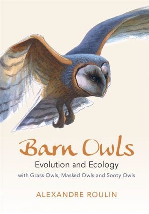 BARN OWLS *