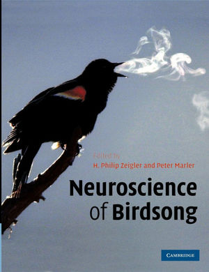 NEUROSCIENCE OF BIRDSONG *