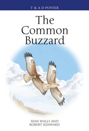 THE COMMON BUZZARD *