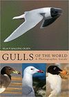 GULLS OF THE WORLD. A PHOTOGRAPHIC GUIDE *
