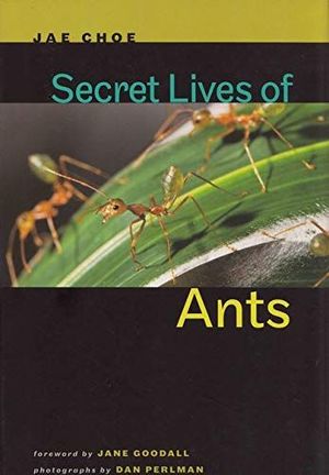 SECRET LIVES OF ANTS *