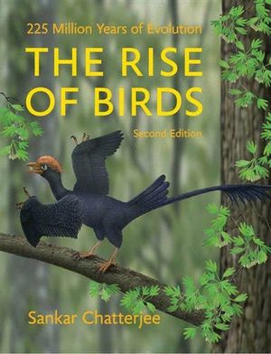 THE RISE OF BIRDS: *