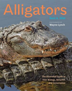 ALLIGATORS  *