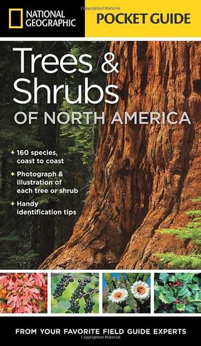 TREES & SHRUBS OF NORTH AMERICA *