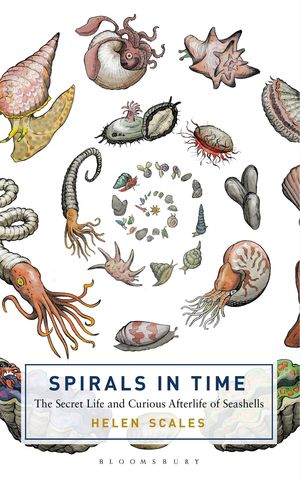 SPIRALS IN TIME  *