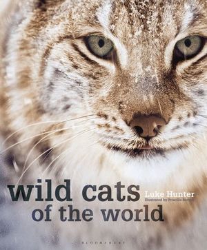 WILD CATS OF THE WORLD  *