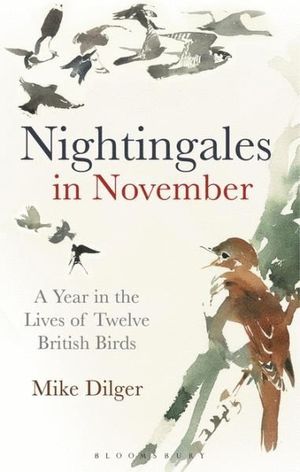 NIGHTINGALES IN NOVEMBER *