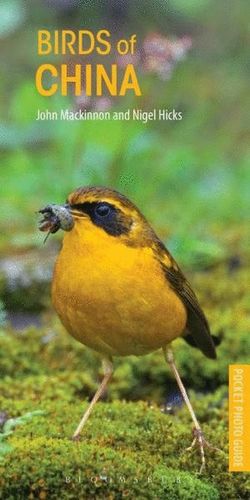 POCKET PHOTO GUIDE TO THE BIRDS OF CHINA *