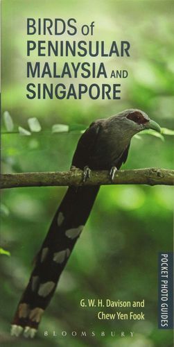 BIRDS OF PENINSULAR MALAYSIA AND SINGAPORE  *