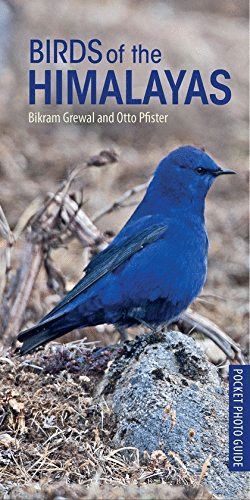 POCKET PHOTO GUIDE TO THE BIRDS OF THE HIMALAYAS *