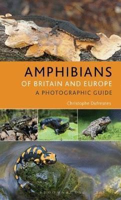 AMPHIBIANS OF EUROPE, NORTH AFRICA & THE MIDDLE EAST *